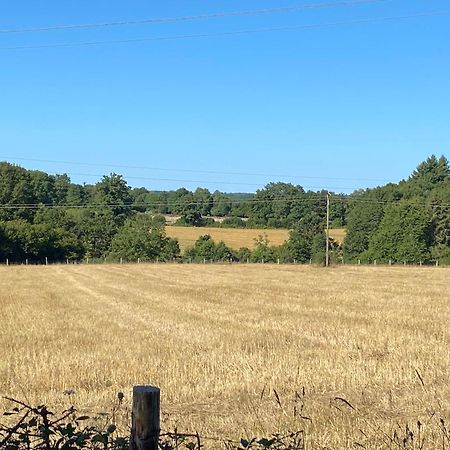 Spacious 1 Bed Home With Shared Pool Champagnac-la-Rivière Exteriör bild