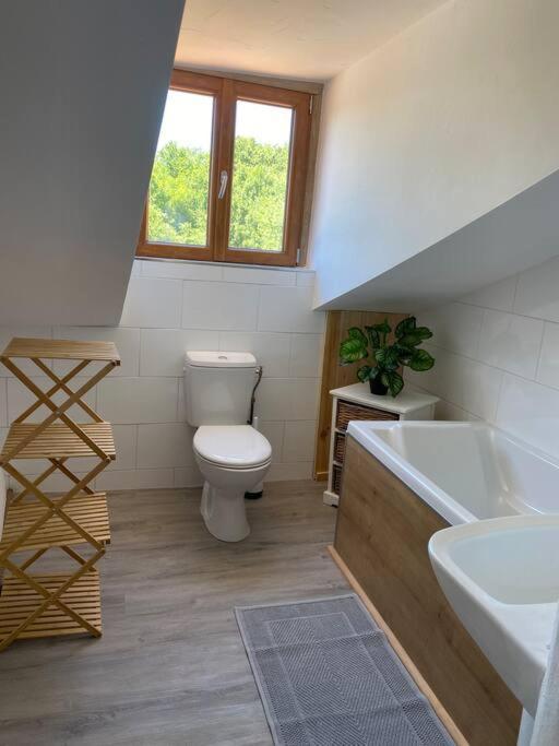 Spacious 1 Bed Home With Shared Pool Champagnac-la-Rivière Exteriör bild